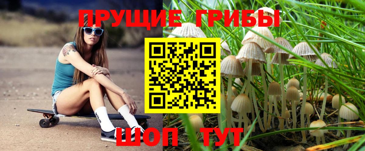 Псилоцибиновые грибы прущие грибы Гагарин